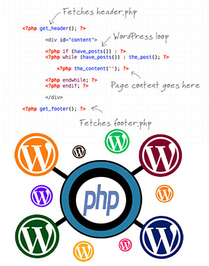  اجرای کدهای php در وردپرس با 2 روش متفاوت!