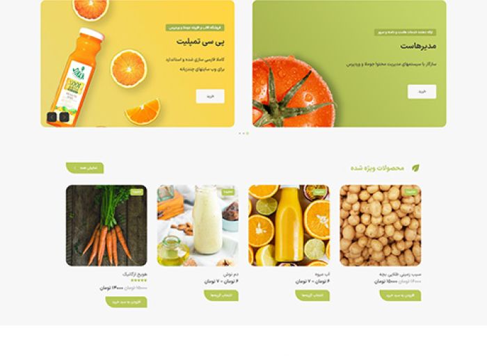 قالب وردپرس ecofood