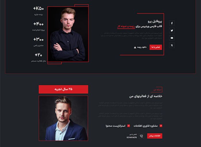 قالب وردپرس Profilepro