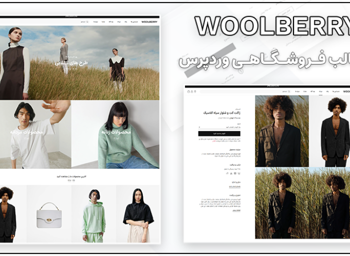 قالب وردپرس woolberry
