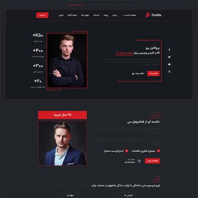 قالب وردپرس Profilepro